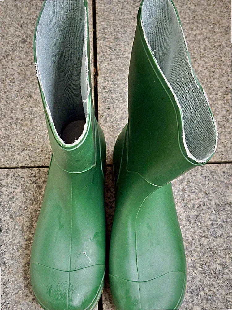 Damen Gummistiefel wasserdicht grün/beige wadenlang EU 39 flach