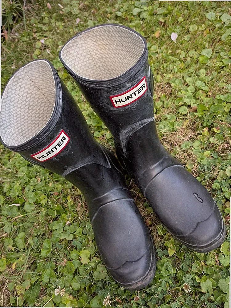 HUNTER Original Short Gummistiefel Schwarz Gr. 38 UK 5 Damen W23758 Wellies