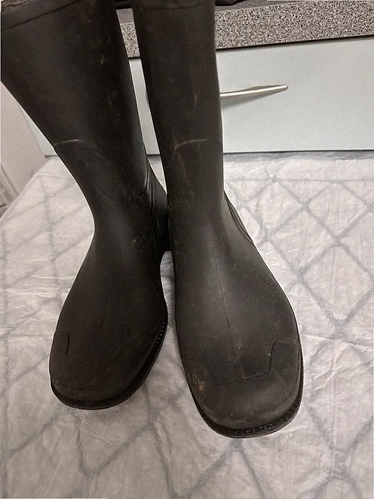 Regenstiefel in Größe 37 schwarz