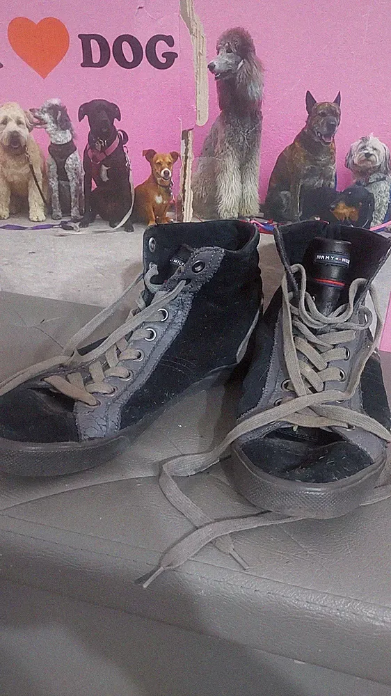 Tommy Hilfiger Stiefeletten Gr. 44
